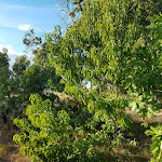 Photo n° 13 de l'avis de Jérôme. fait le 23/08/2020 à 21:41 pour Les Jardins du Fourquet à Gourdon