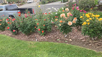 Gilbert's Gardening LLC - Photo 5 - Car repair in , Anaheim