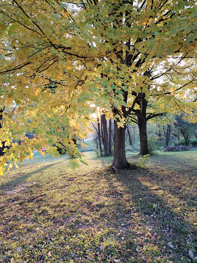 Park «George Rogers Clark Park», reviews and photos, 1024 Thruston Ave, Louisville, KY 40217, USA