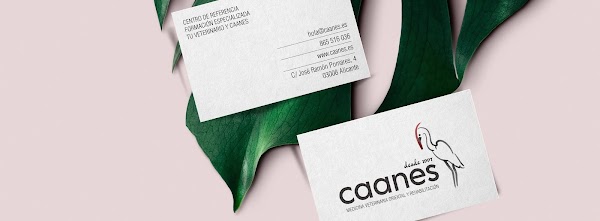 CAANES  Medicina Veterinaria Oriental y Rehabilitación