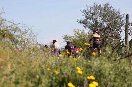 Bicycle Store «McDowell Mountain Cycles», reviews and photos, 11879 N Saguaro Blvd, Fountain Hills, AZ 85268, USA