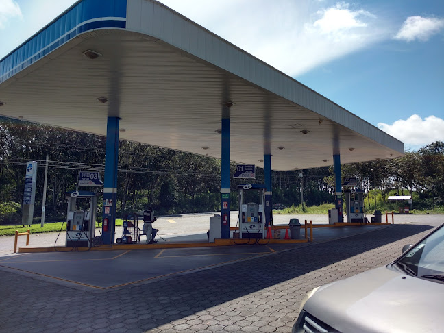 Opinii despre Gasolinera Petroecuador ¨Dogal¨ în La Concordia - Gasolinera