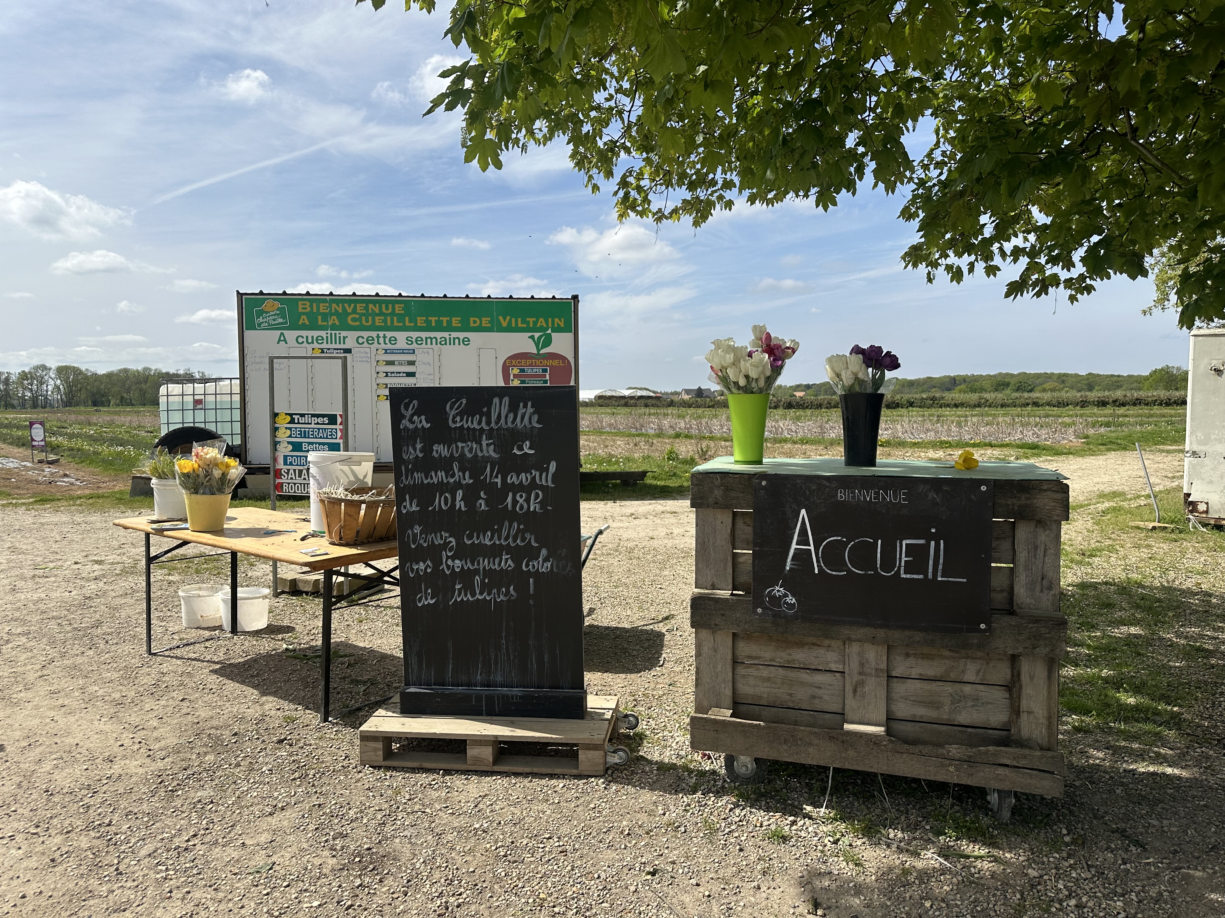 Photo n° 1 de l'avis de Hélène. fait le 14/04/2024 à 22:19