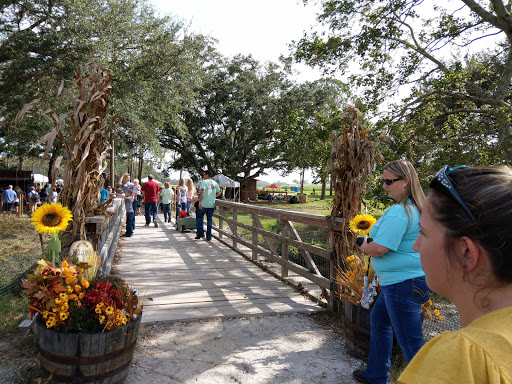 Tourist Attraction «Partin Ranch Corn Maze», reviews and photos, 5601 N Canoe Creek Rd, Kenansville, FL 34739, USA