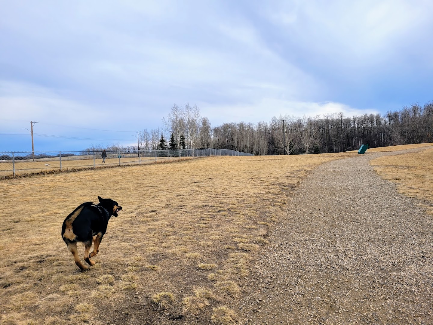 Greenway Off Leash Dog Park