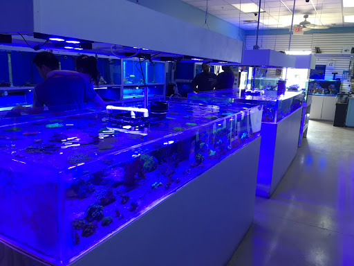 Tropical Fish Store «Blue Reef Aquatics», reviews and photos, 5960 Losee Rd, North Las Vegas, NV 89081, USA