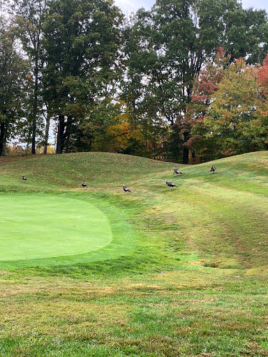 Golf Course «Dale Hollow Golf Course», reviews and photos, 6371 State Park Rd, Burkesville, KY 42717, USA