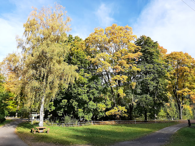 Pole Namiotowe, Campingowe Wichrowe Wzgorza - Pole kempingowe