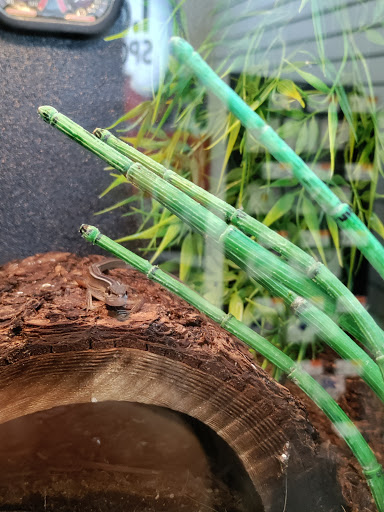 Pet Supply Store «Pet Supplies Plus», reviews and photos, 630 Fellsway, Medford, MA 02155, USA