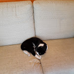 Photo n°14 de l'avis de Paulo.e fait le 29/03/2018 à 19:20 sur le  IL VIGNETO Ristorante à Gattinara