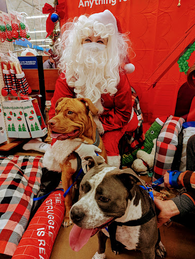 Pet Supply Store «PetSmart», reviews and photos, 160 Wadsworth Blvd, Lakewood, CO 80226, USA