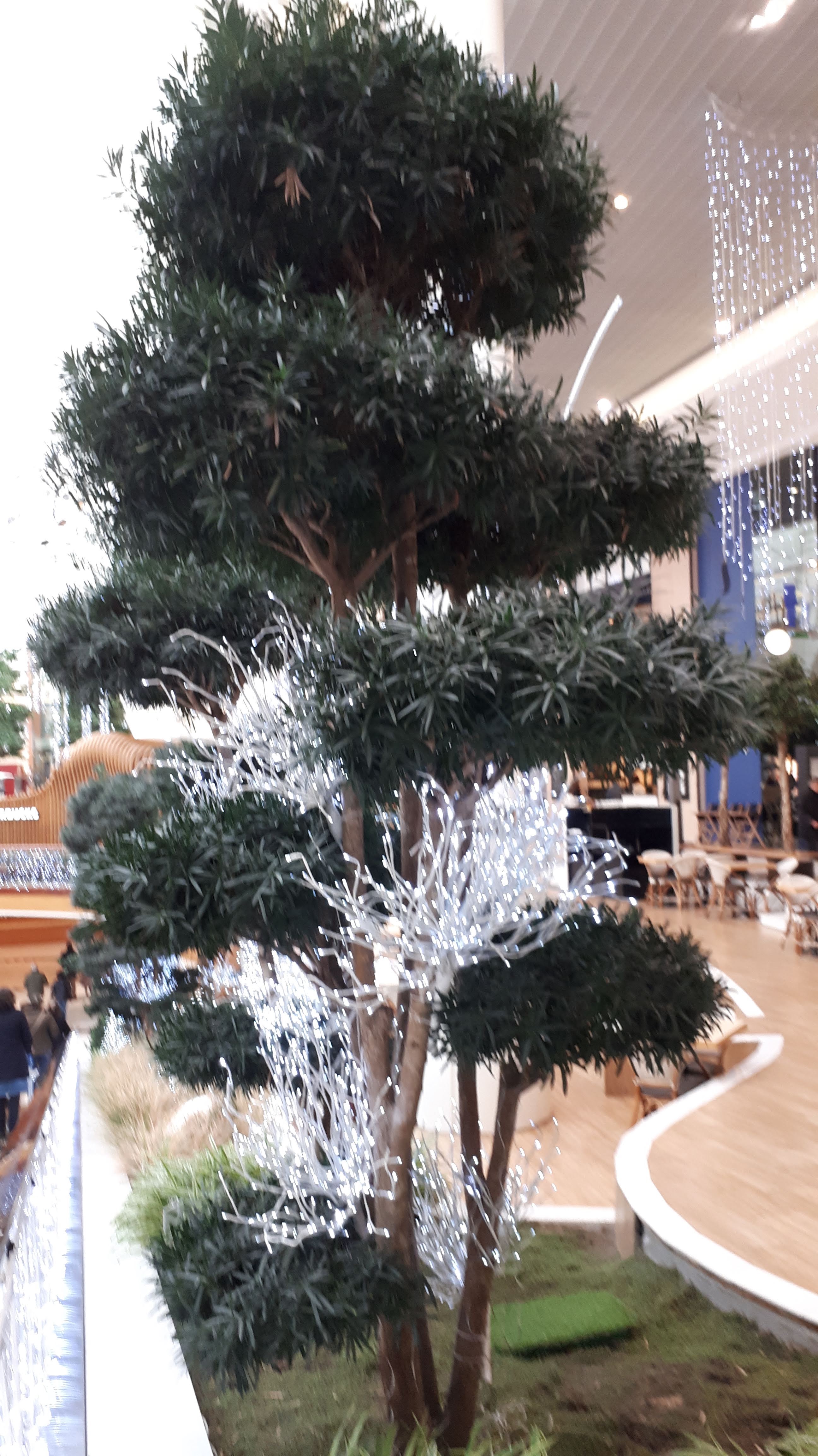 Photo n° 4 de l'avis de Hélène.o fait le 20/12/2018 à 13:07