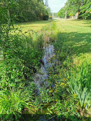Nogent-sur-Vernisson à Nogent-sur-Vernisson