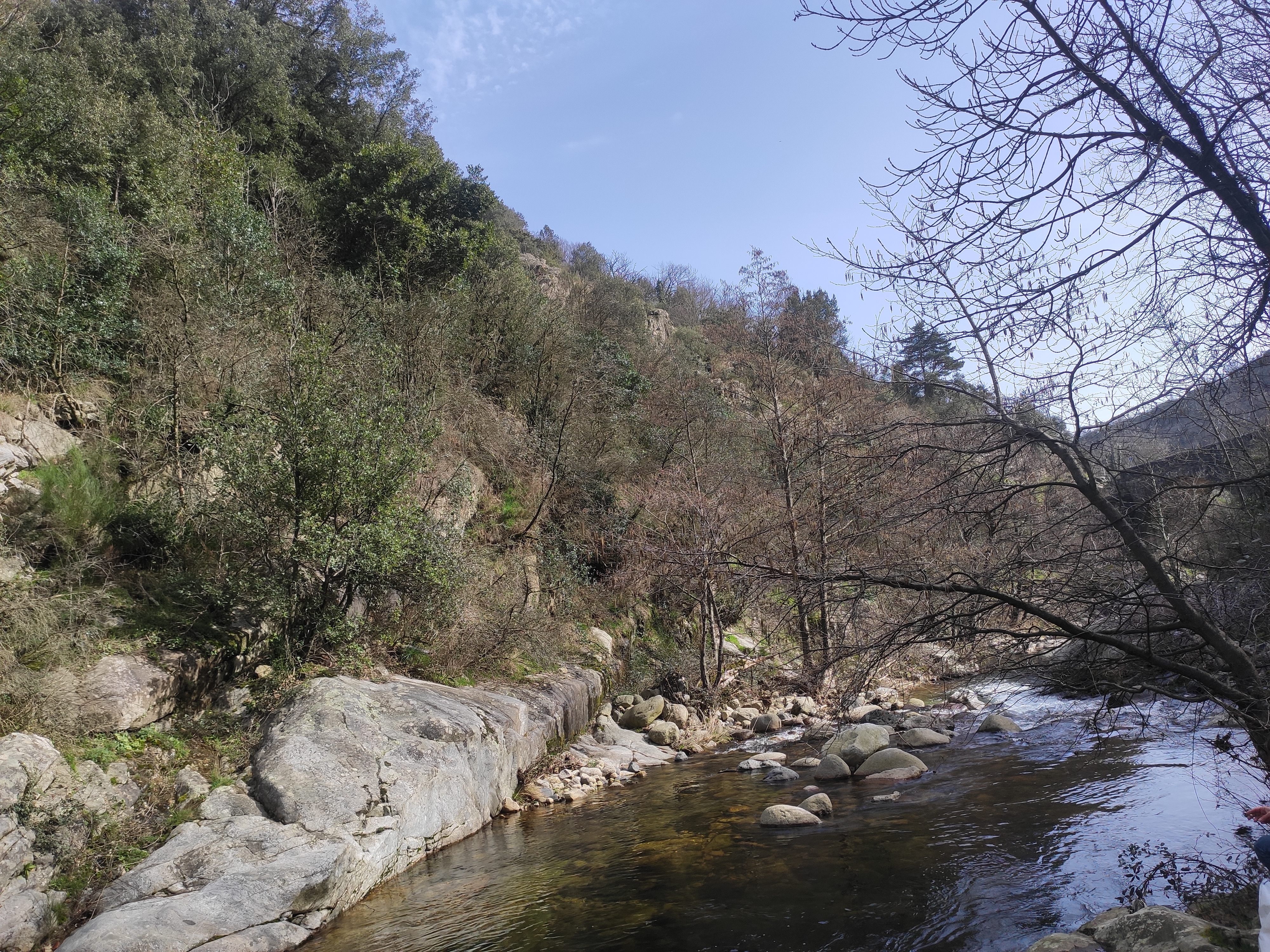 Photo n° 4 de l'avis de Vic.a fait le 25/02/2021 à 22:59