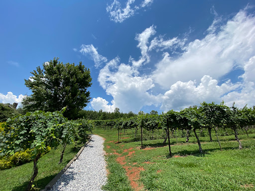 Winery «Wolf Mountain Vineyards», reviews and photos, 180 Wolf Mountain Trail, Dahlonega, GA 30533, USA