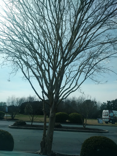 Grocery Store «Food Lion», reviews and photos, 1216 Nanticoke Rd, Salisbury, MD 21801, USA