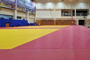 Sports club "Patriot" Lessons for Sambo image