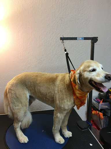 Pet Groomer «Spoiled Petz Pet Store and Grooming», reviews and photos, 12030 Donner Pass Rd #1, Truckee, CA 96161, USA