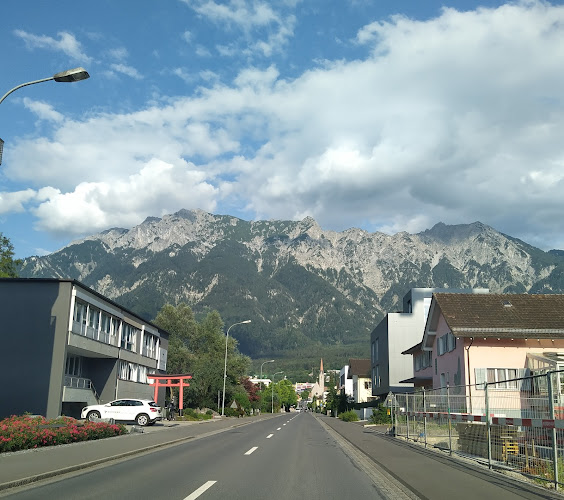 Schaan, Zollstrasse