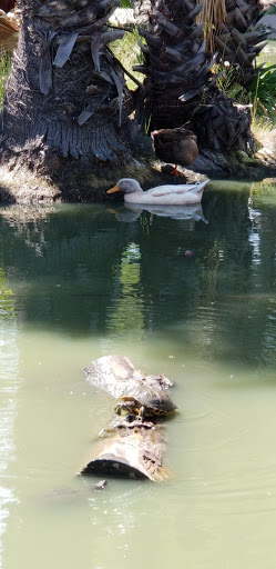 Amusement Park «Small World Park», reviews and photos, 2551 Harbor St, Pittsburg, CA 94565, USA