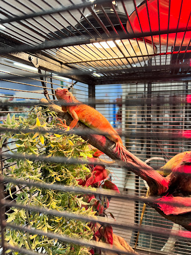 Pet Store «Fins Feathers Paws Claws», reviews and photos, 201 Station Rd, Quakertown, PA 18951, USA