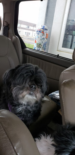 Coffee Shop «Dutch Bros», reviews and photos, 822 SW Coast Hwy, Newport, OR 97366, USA