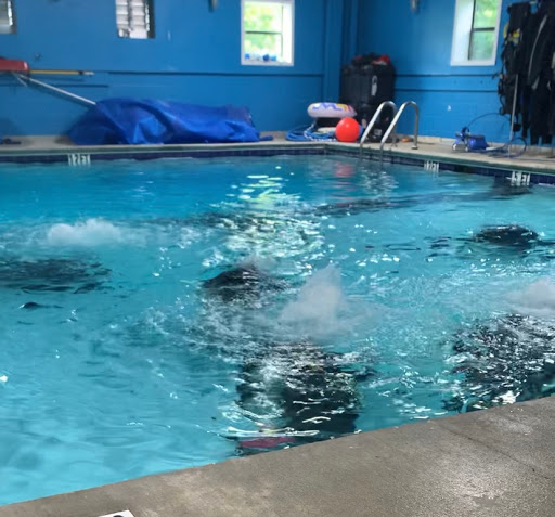 Dive Shop «The Dive Shop On McEver», reviews and photos, 3560 McEver Rd, Gainesville, GA 30504, USA