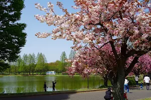 Kawagoe Park image