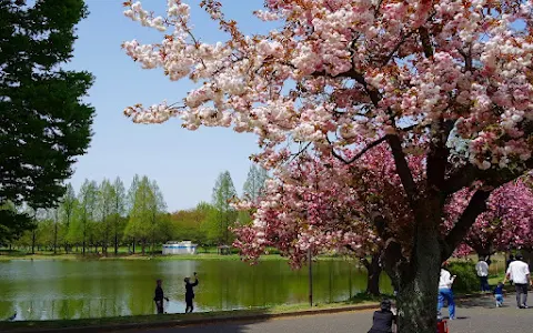 Kawagoe Park image
