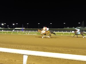 Indiana Grand Racing & Casino - photo 14