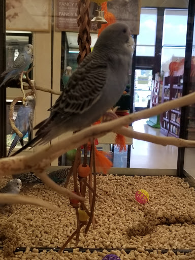 Pet Supply Store «PetSmart», reviews and photos, 198 Promenade Blvd, Flowood, MS 39232, USA