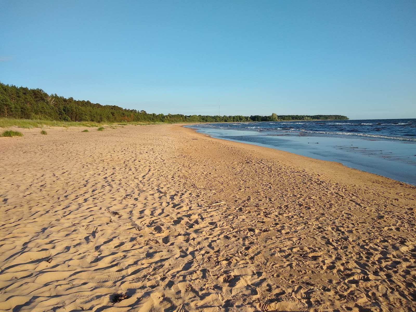 Φωτογραφία του Salacgrivas beach με επίπεδο καθαριότητας πολύ καθαρό