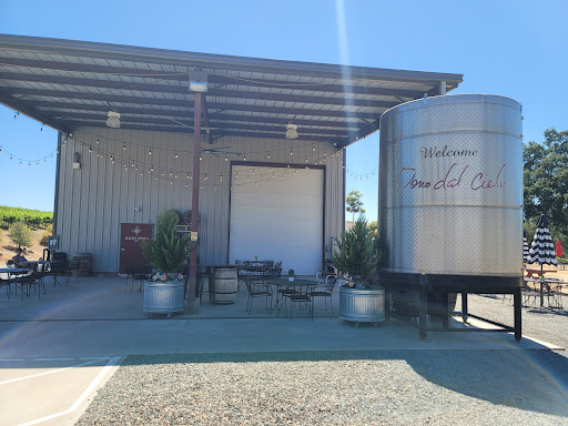Winery «Dono dal Cielo Vineyard», reviews and photos, 6100 Wise Rd, Newcastle, CA 95658, USA