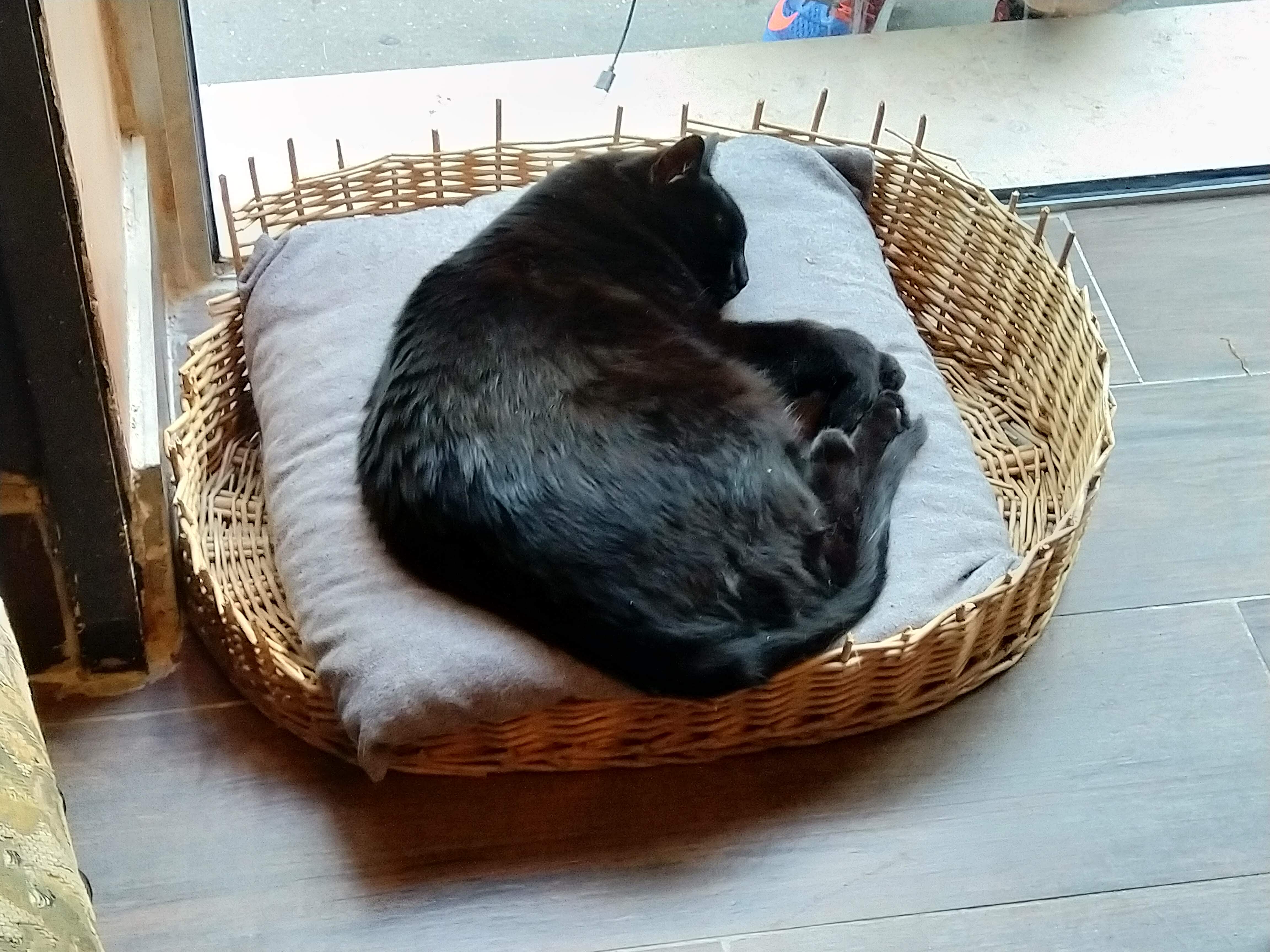 Photo n° 9 de l'avis de M... fait le 23/06/2019 à 19:26