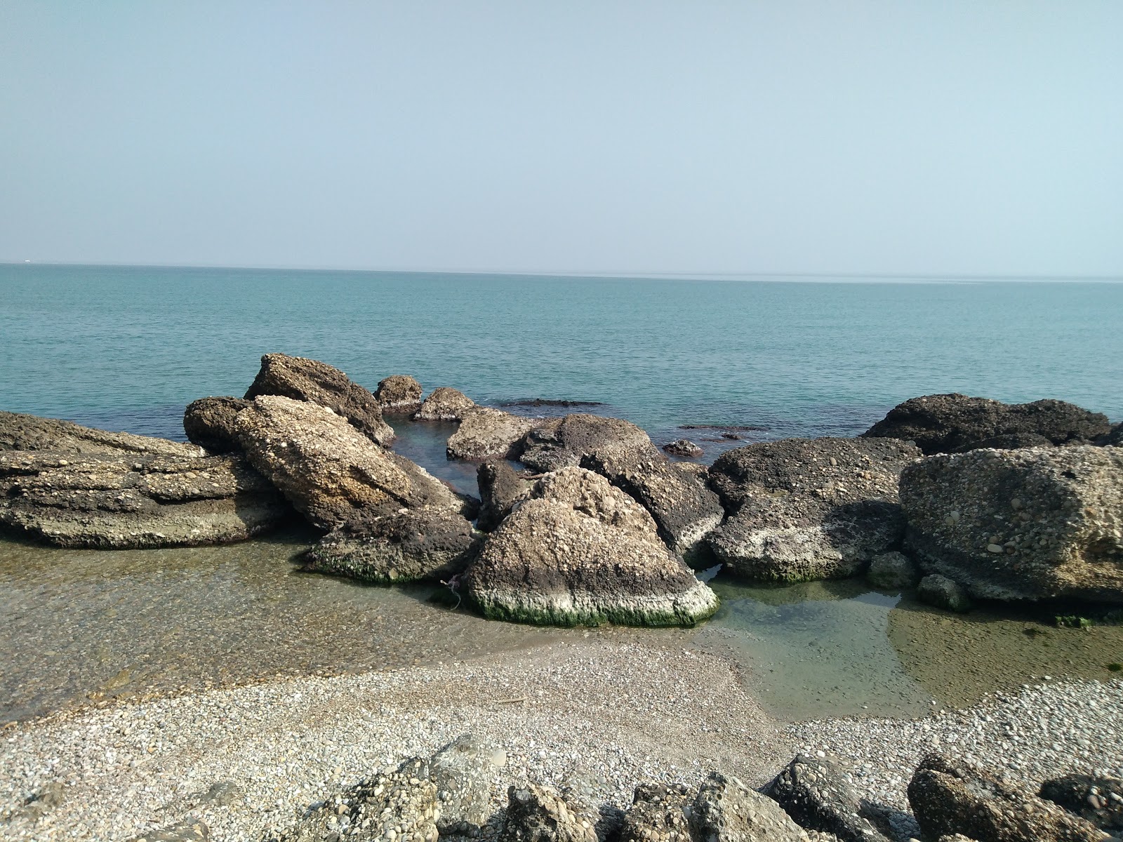 Torricella Beach'in fotoğrafı imkanlar alanı