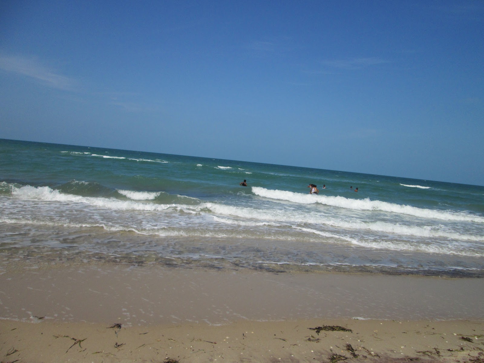 Foto von Mandapam Camp Beach wilde gegend