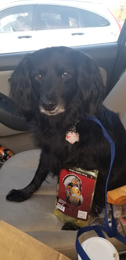 Tobacco Shop «Mr. Smoke», reviews and photos, 2020 West St ste D, Annapolis, MD 21401, USA