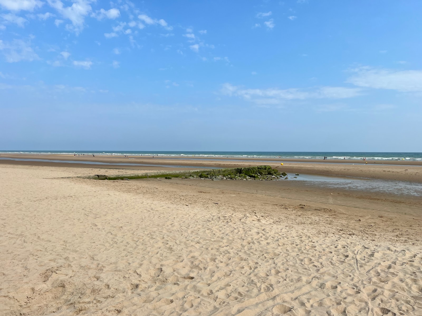 Omaha beach photo #6