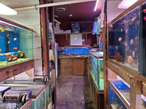 Tropical Fish Store «Keller Farms», reviews and photos, 3405 Denton Hwy, Haltom City, TX 76117, USA