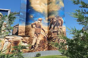 Harden Murrumburrah Silo Art by Heesco image