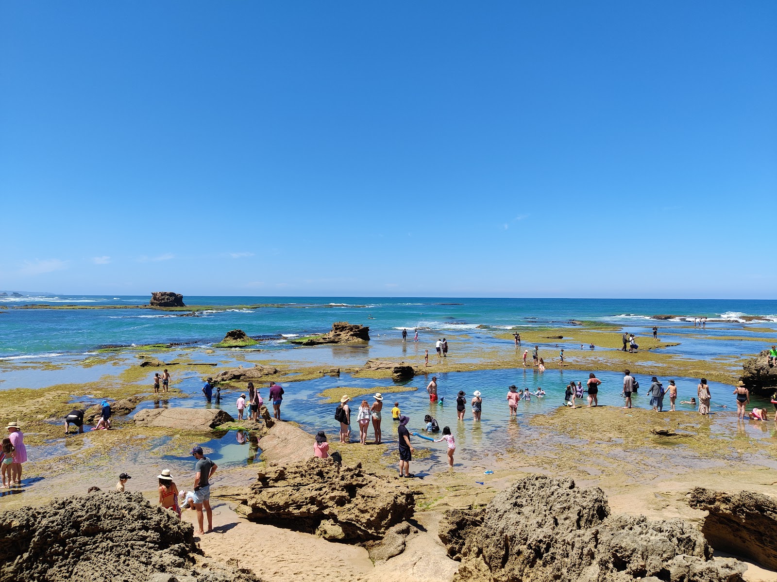 Valokuva Sorrento Ocean Beachista. sijaitsee luonnonalueella