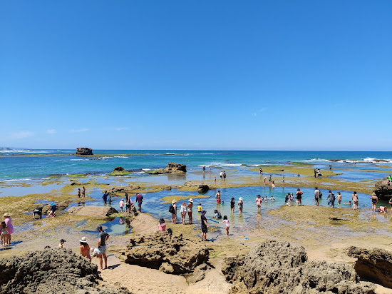 Sorrento Ocean Beach