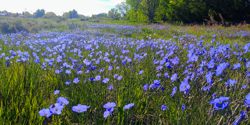 Park «Bear Creek Park», reviews and photos, 3550 S Raleigh St, Denver, CO 80236, USA