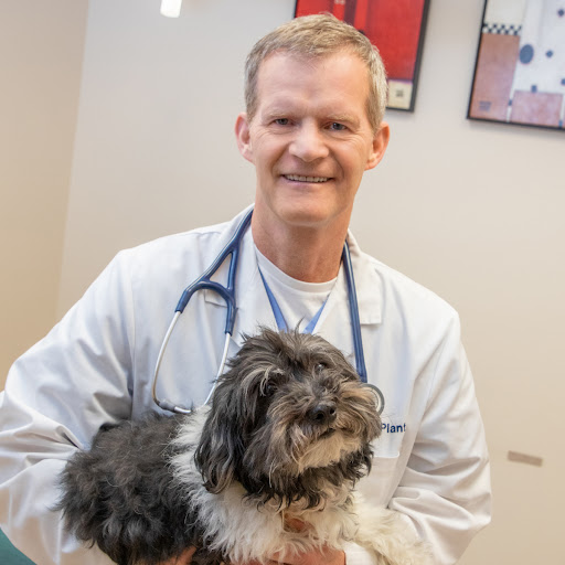 Animal Dermatology Clinic image