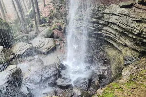 Anglin Falls Trailhead image