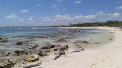 Photo de Playa Punta Brava zone sauvage