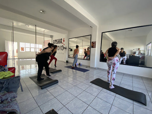 Pole Fitness Ansha Studio Aguascalientes