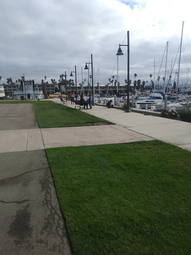 Island Packers Cruises - Oxnard image