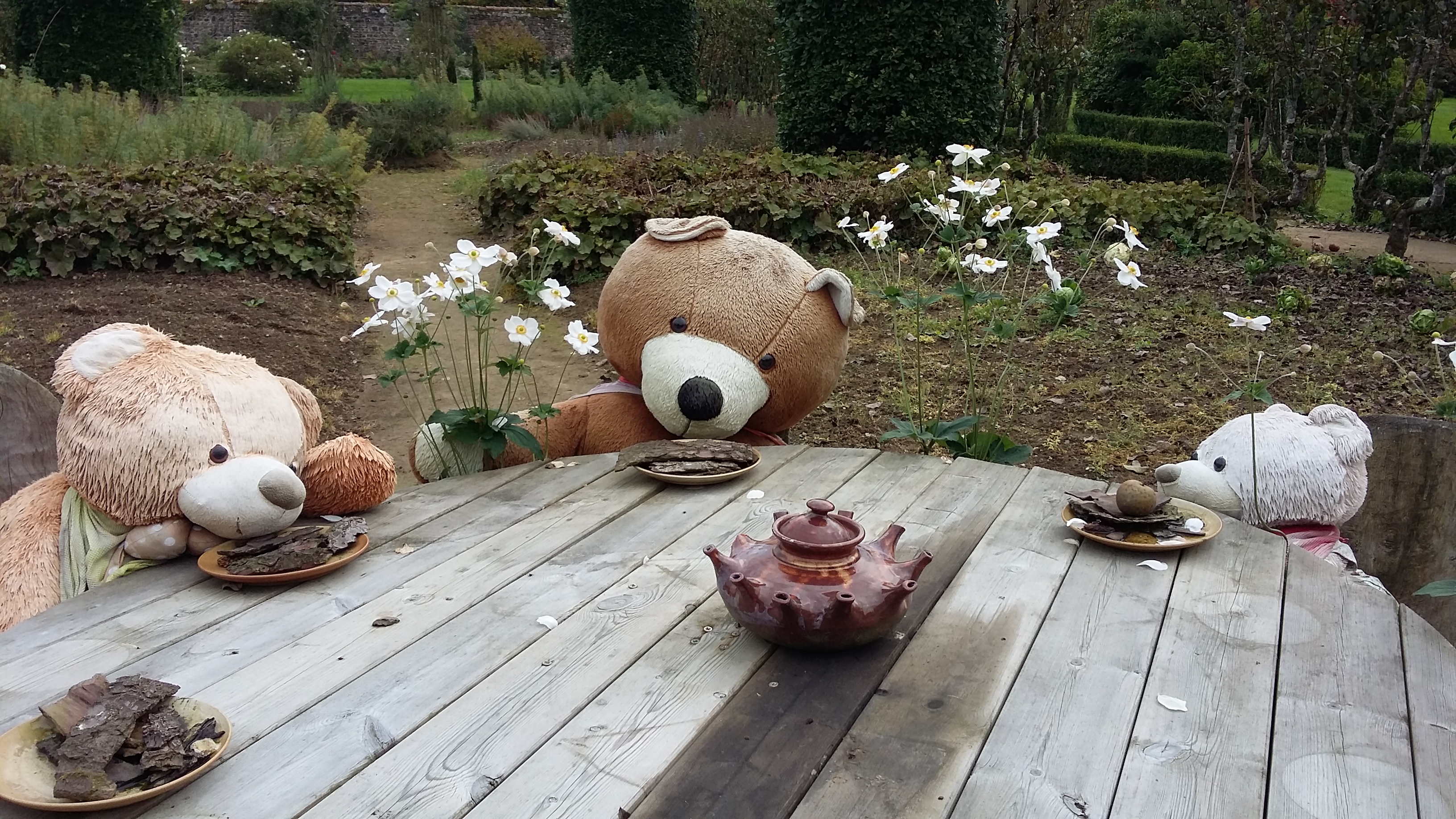 Photo n° 1 de l'avis de geraldine.e fait le 07/11/2017 à 15:13
