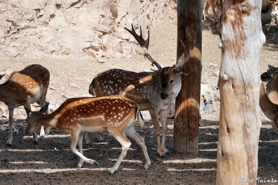 Terra Natura Murcia